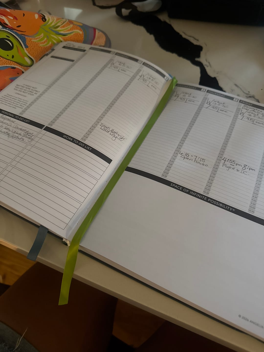 Customer photo review of Weekly 2026-2027 Mid-Year Planner - Koi Pond