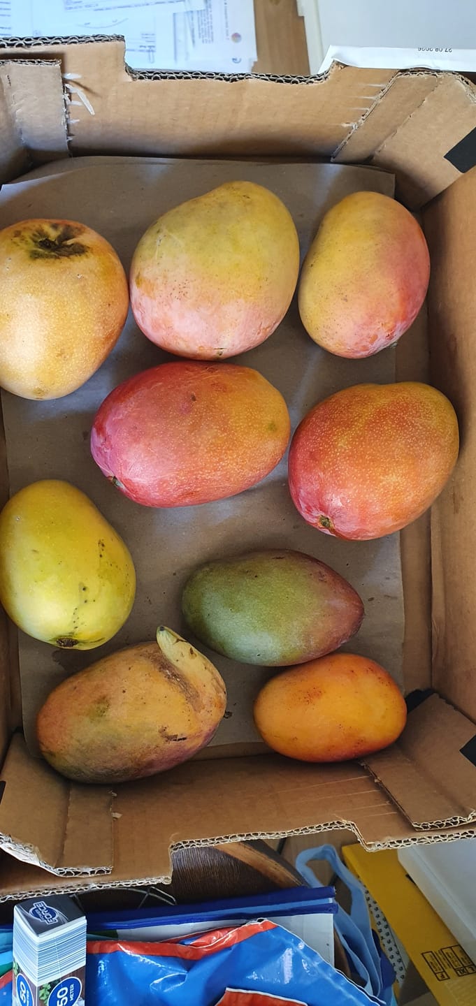 Customer photo review of Mango Mix von Antonio 3kg