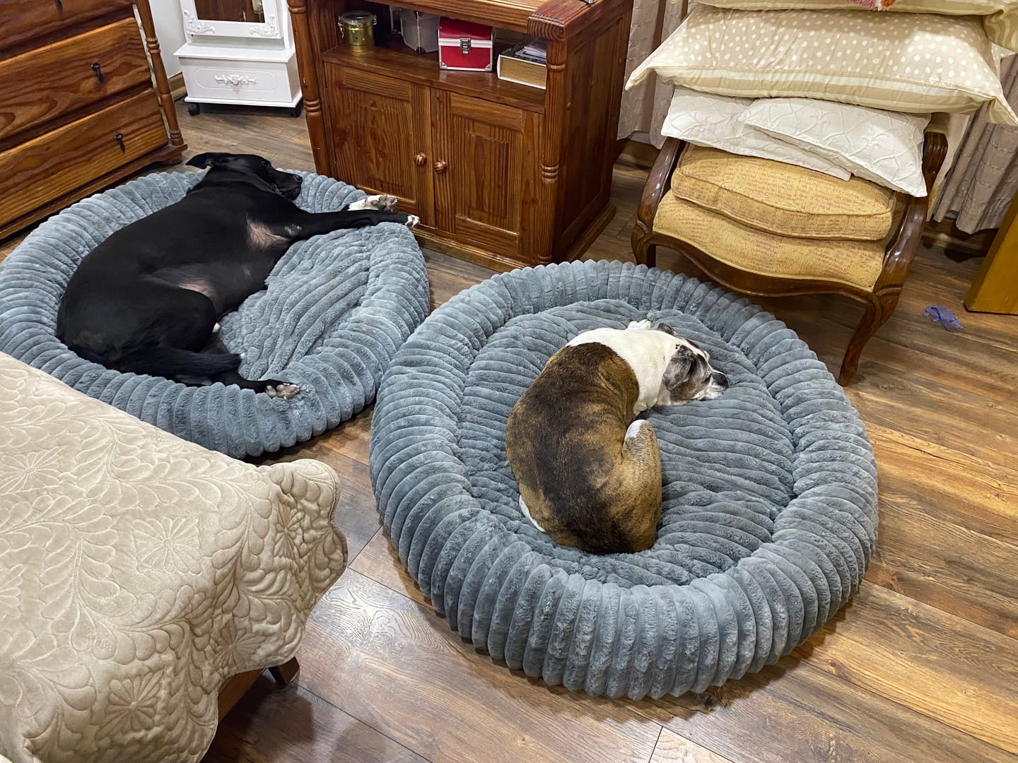 Customer photo review of Luxury Edition: Cama Anti-Estrés THE DOGS
