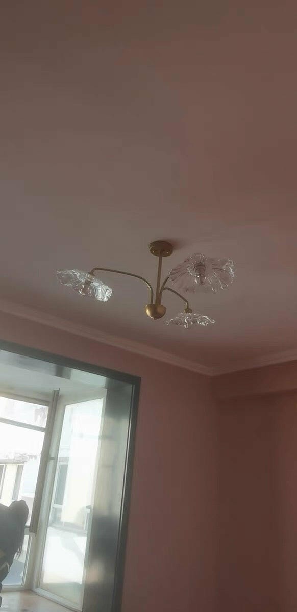 Customer photo review of Ceiling Light, Frosted Leaf Glass Shades, Gold, E27, Lotus Leaf