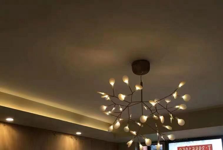 Customer photo review of Firefly LED Chandelier, Black Branch Design, Dimmable, 30-135 Heads