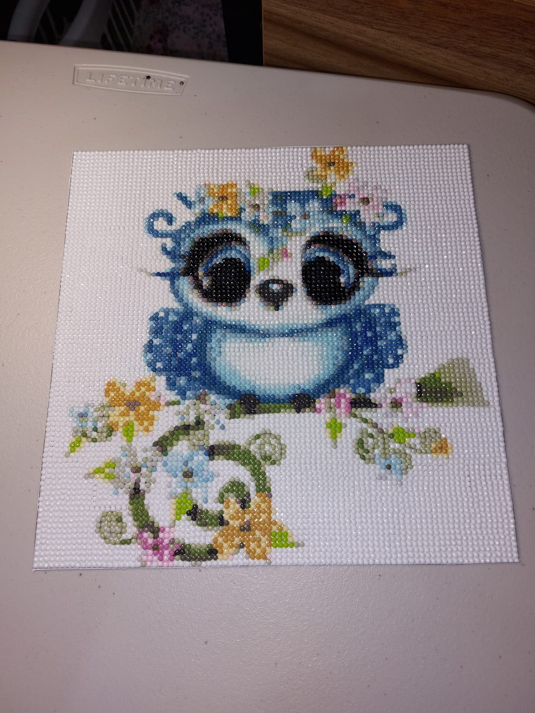 Customer photo review of Full Drill - 5D DIY Diamond Painting Kits Naughty Cartoon Blue Owl for kids