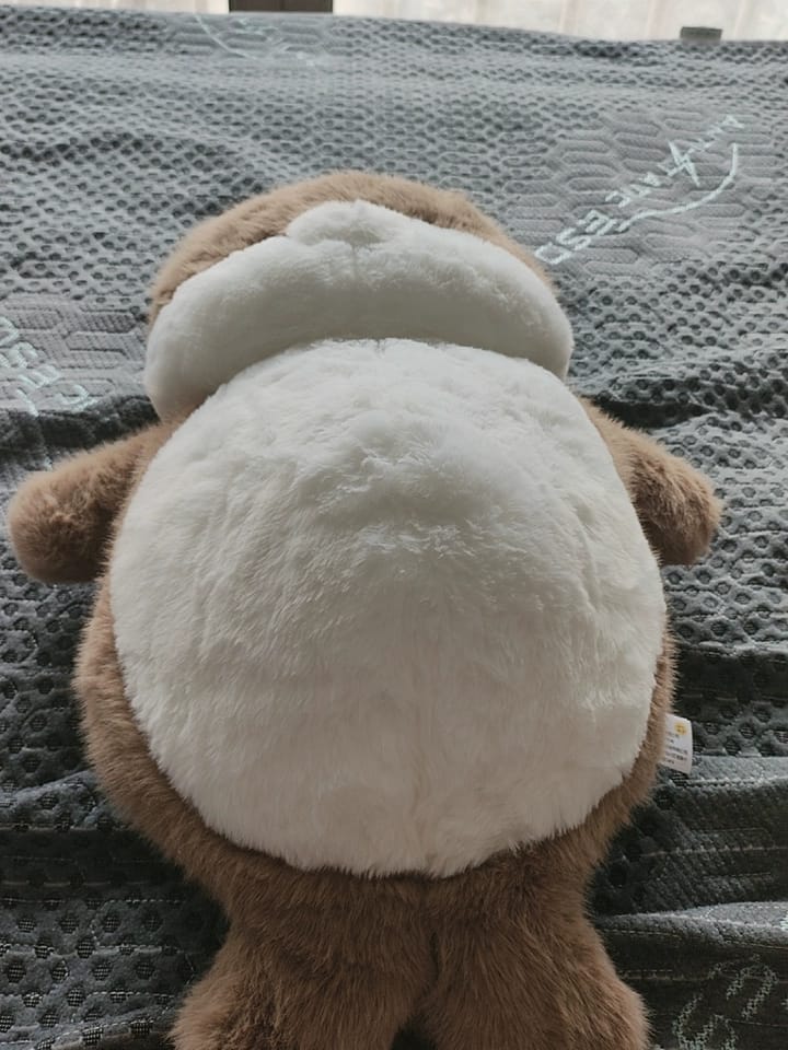 Customer photo review of Sally Seal