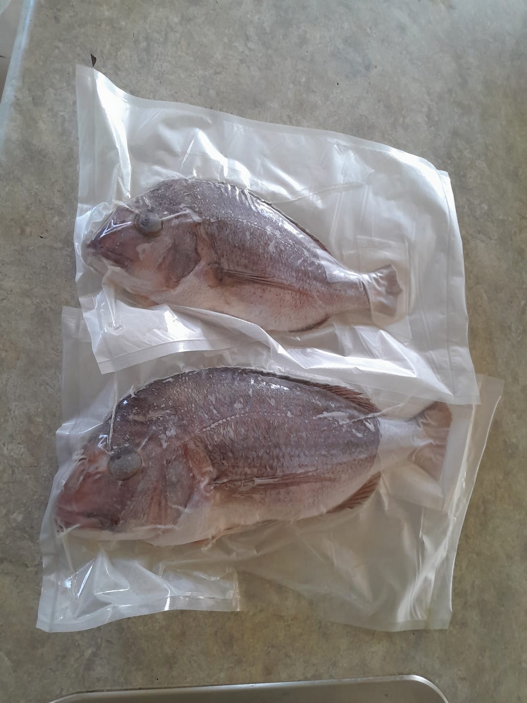 Customer photo review of Food Vacuum Sealer Rolls