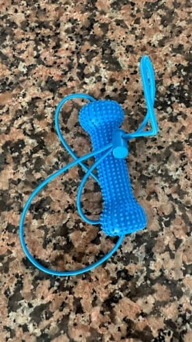 Customer photo review of PearlyPaw™ Dog Teeth Cleaner