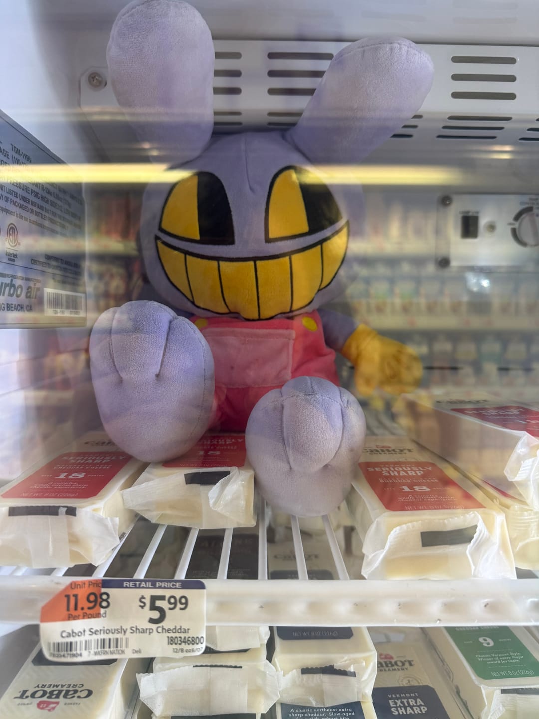 Customer photo review of Jax Plush