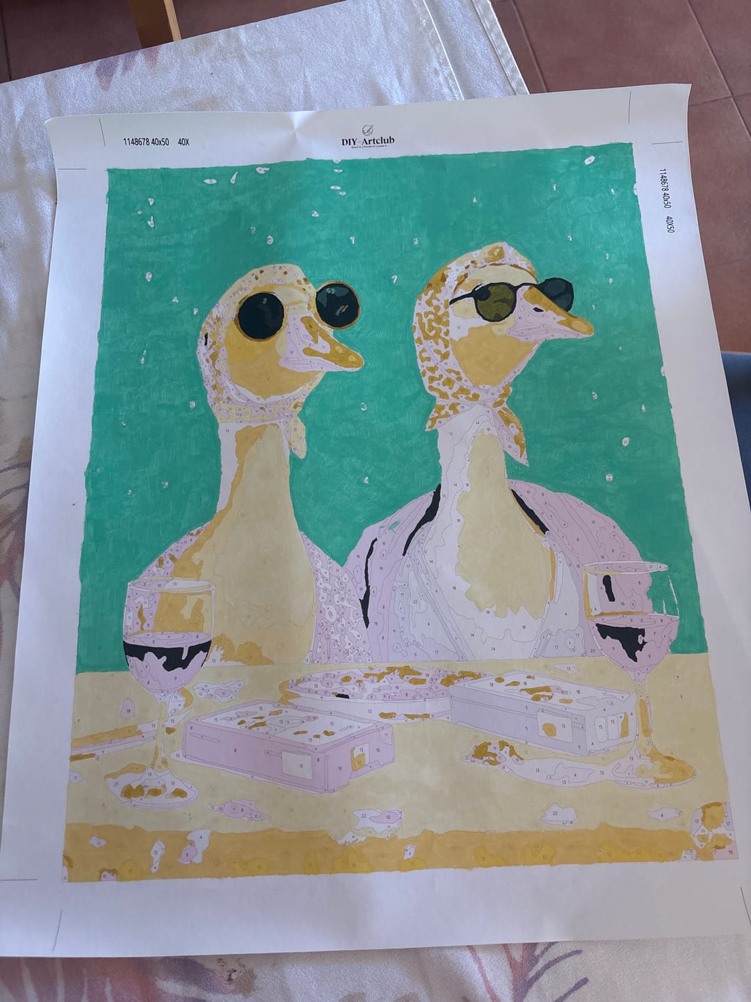 Customer photo review of Goosips | Paint by Number