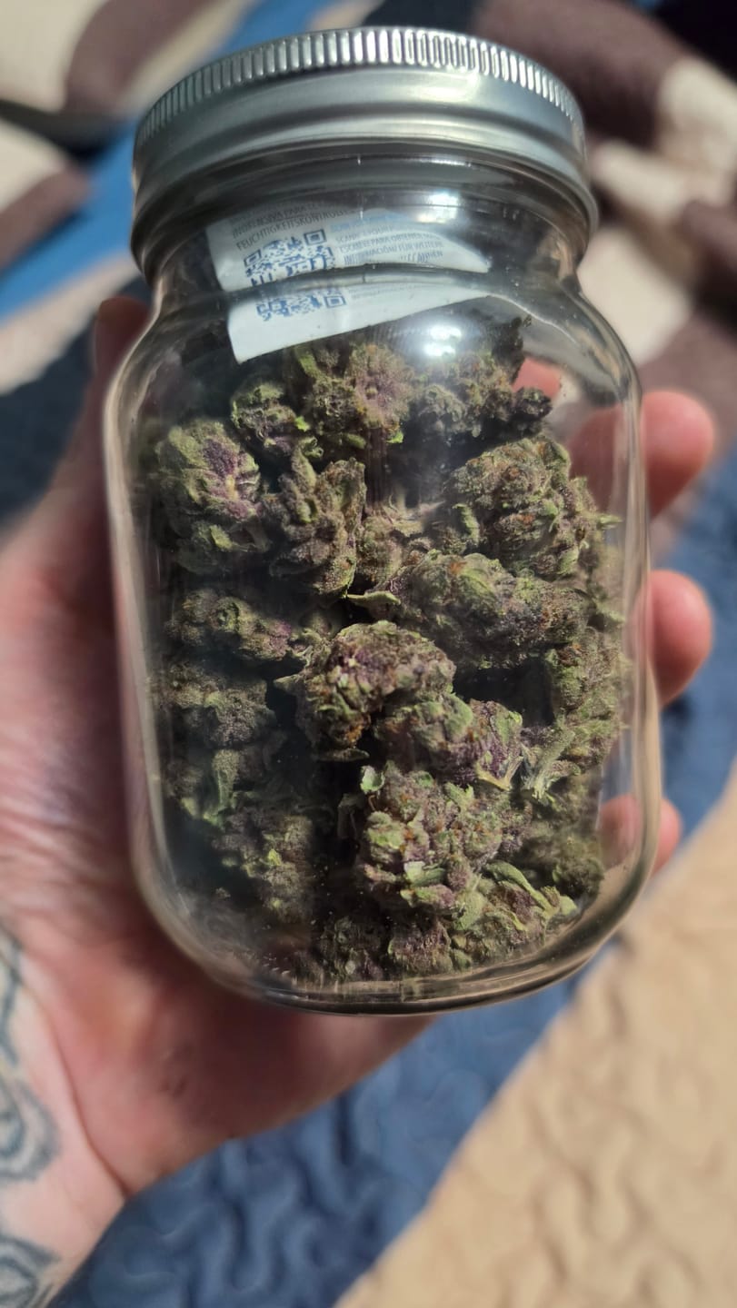 Customer photo review of Tropicana Cherry THCA Flower