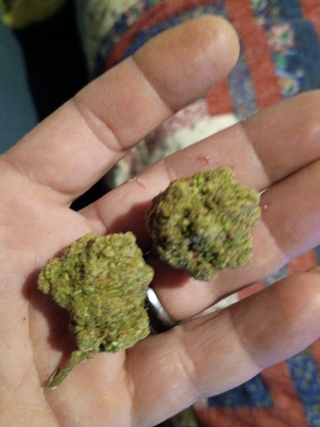 Customer photo review of White Widow THCA Flower