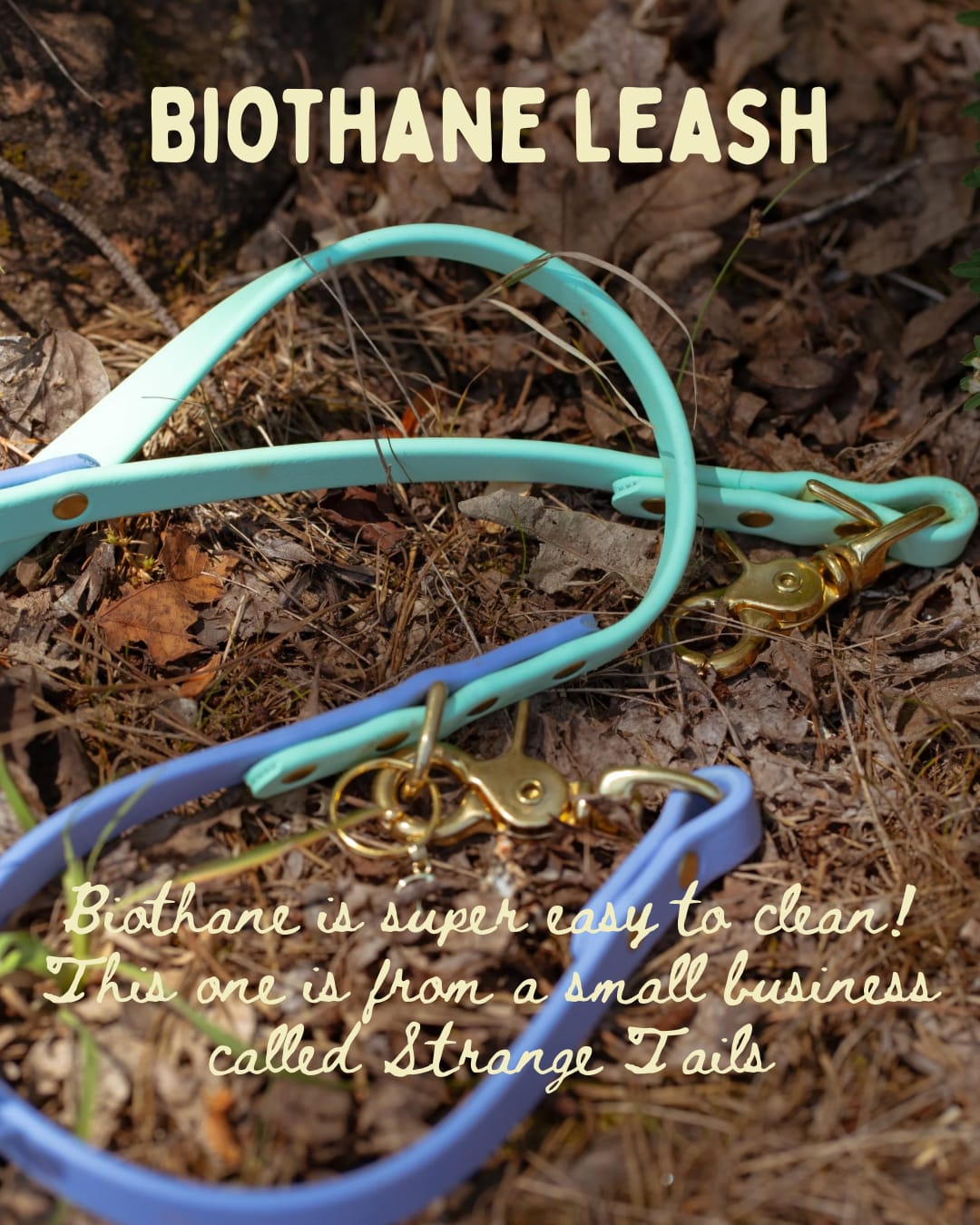 Customer photo review of Biothane Traffic Handle Dog Leash