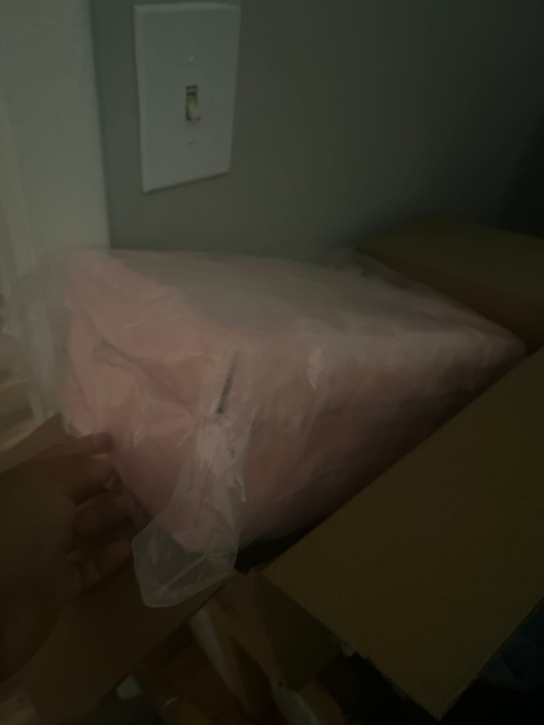 Customer photo review of Order Protection