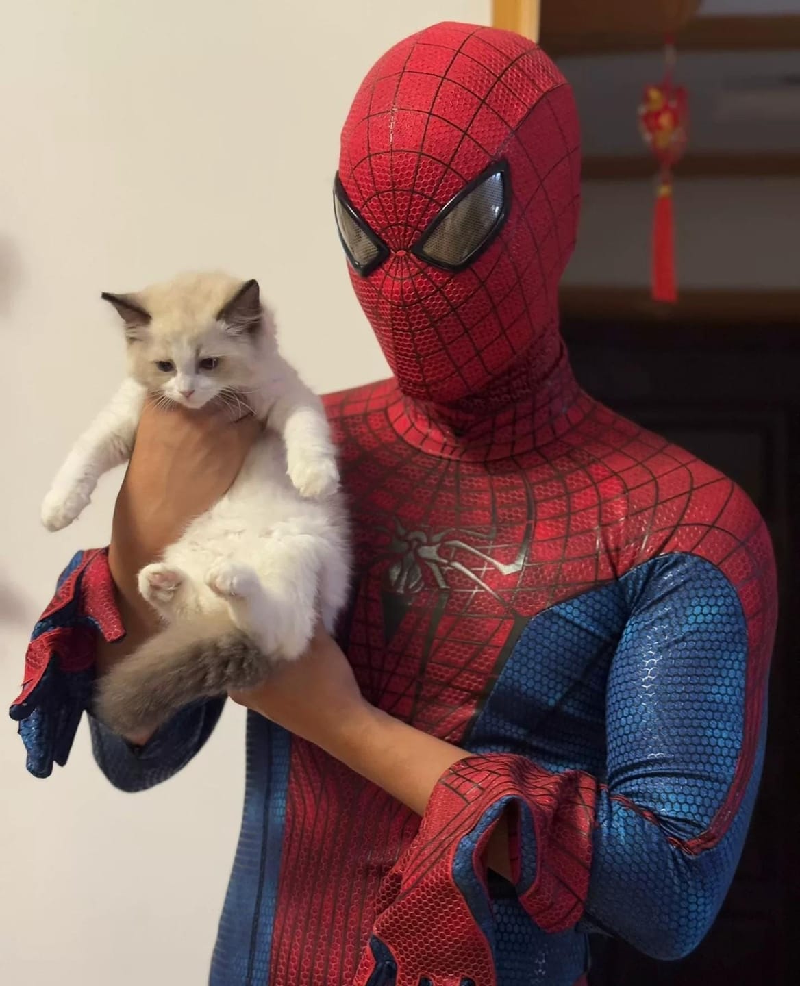 Customer photo review of The Amazing Spider-Man Costume Life Size Wearable