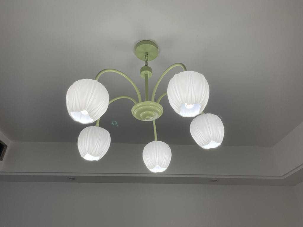Customer photo review of Tulip Chandelier, White Glass Tulip Shades, Matcha Green Frame, E26