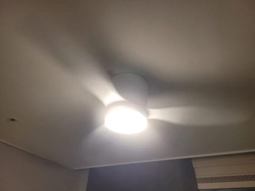 Customer photo review of Home Retro Ceiling Fan – 45/52 Inch DC Motor with Remote