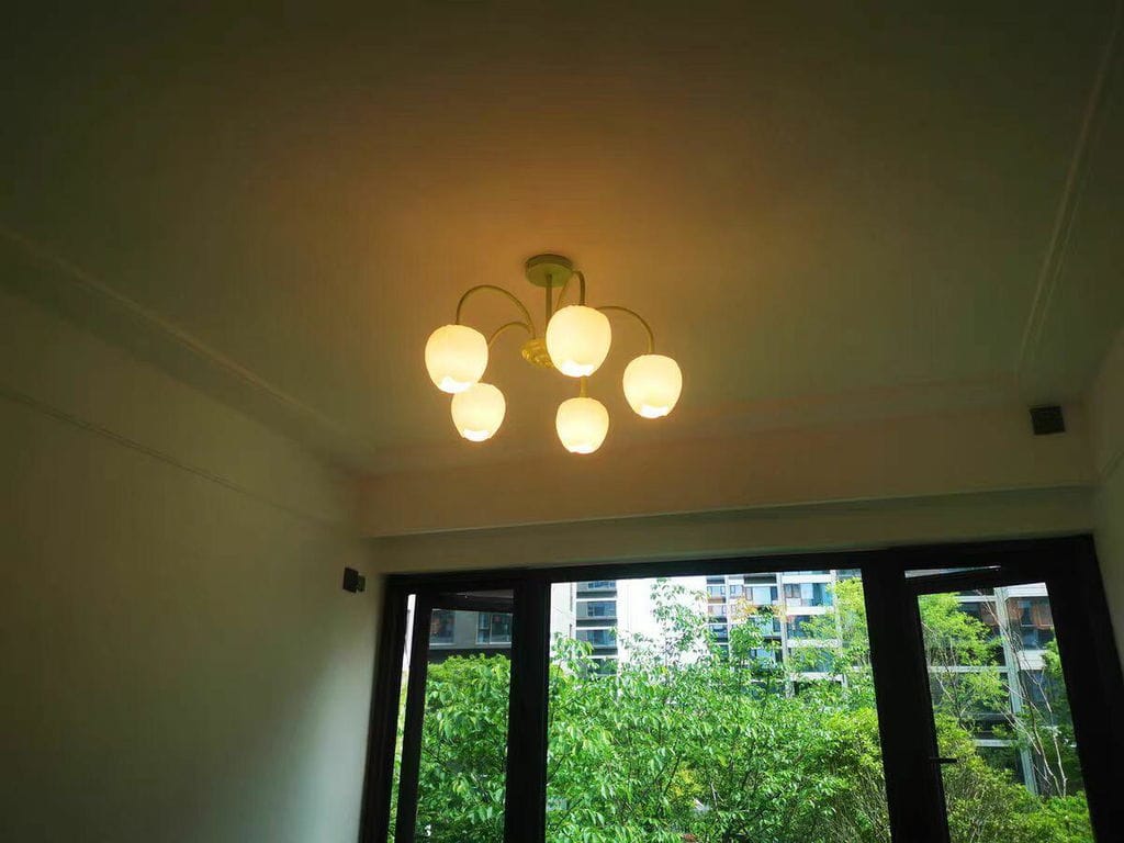 Customer photo review of Tulip Chandelier, White Glass Tulip Shades, Matcha Green Frame, E26