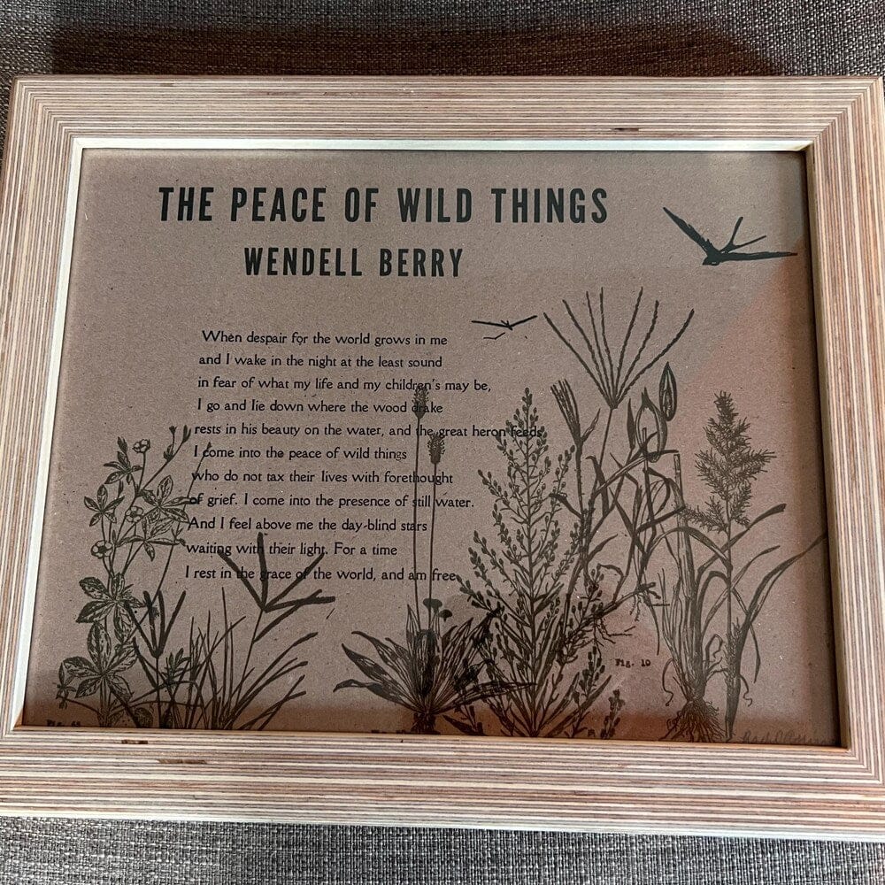 Customer photo review of Baltic Birch Plywood 'Square Profile' Picture Frames