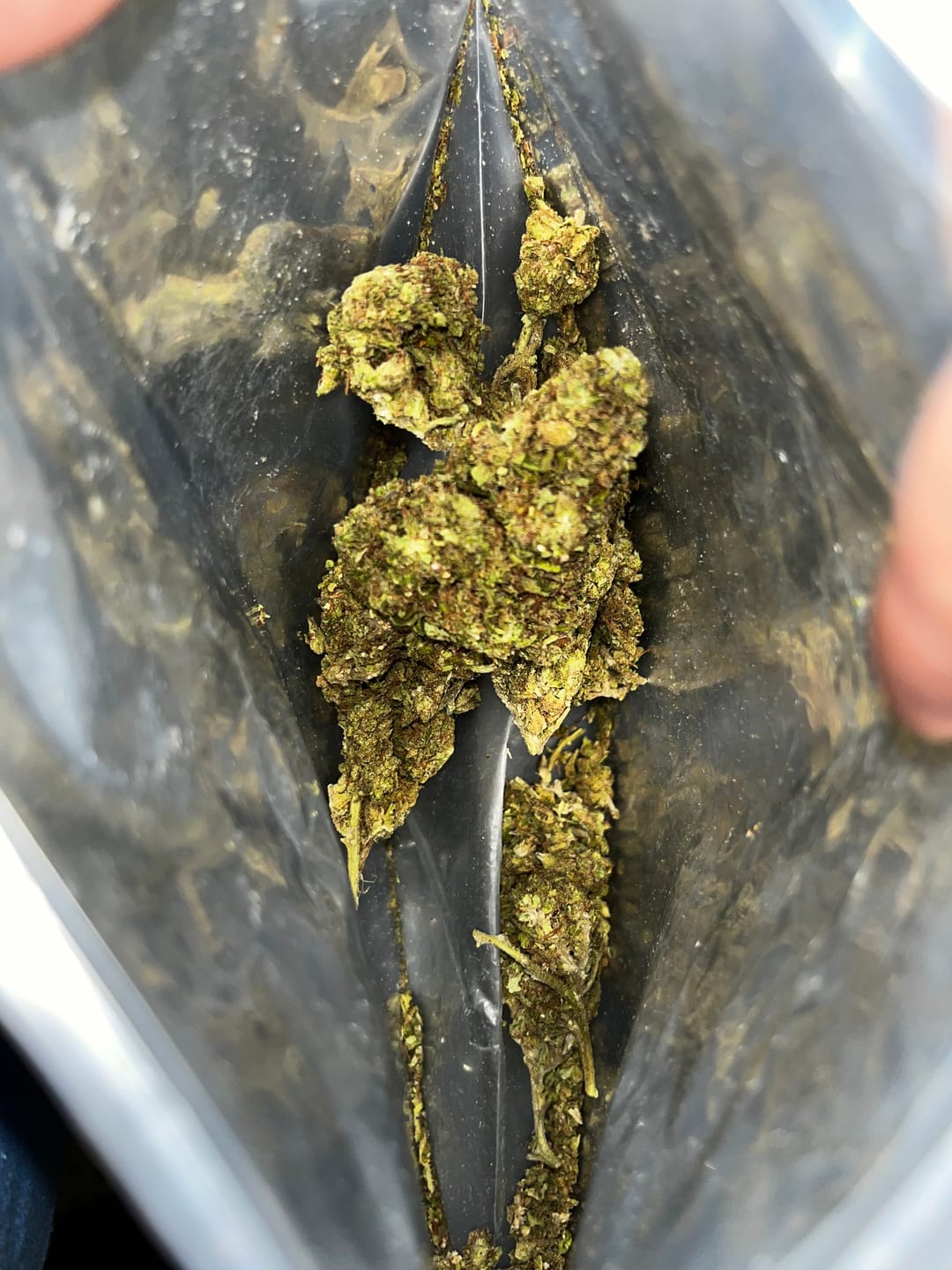Customer photo review of Black Ice THCA Flower Ounce (28g)