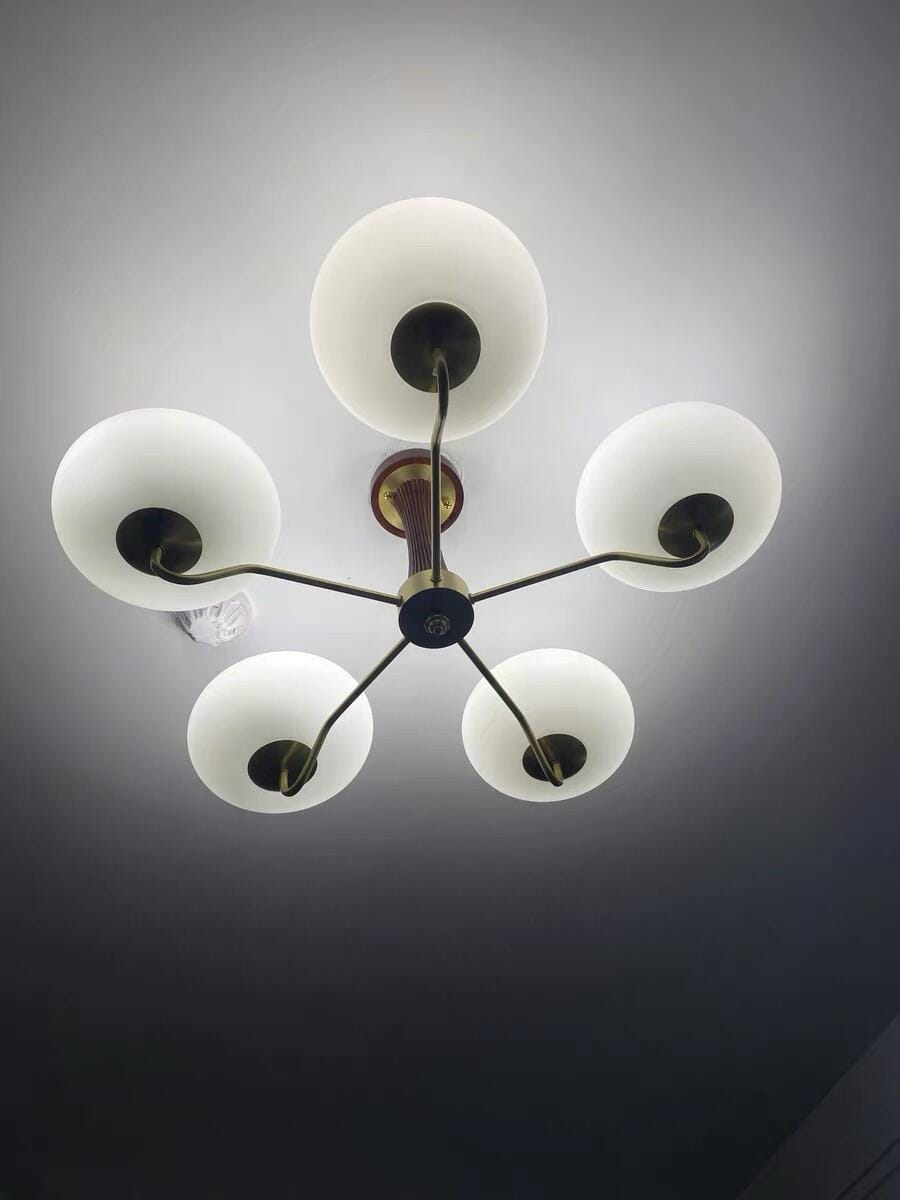 Customer photo review of Chandelier, Persimmon Brass & Wood, White Glass Shades, E26/E27