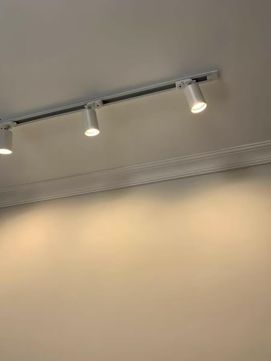Customer photo review of Track Ceiling Light, Adjustable Spotlight Heads, Integrated LED, 24 Degree Beam