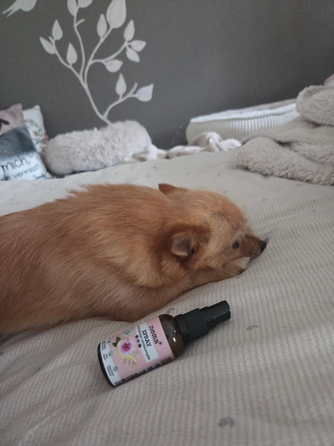 Customer photo review of noms+ Zpray gegen Zecken, Flöhe, Milben und Mücken 30ml