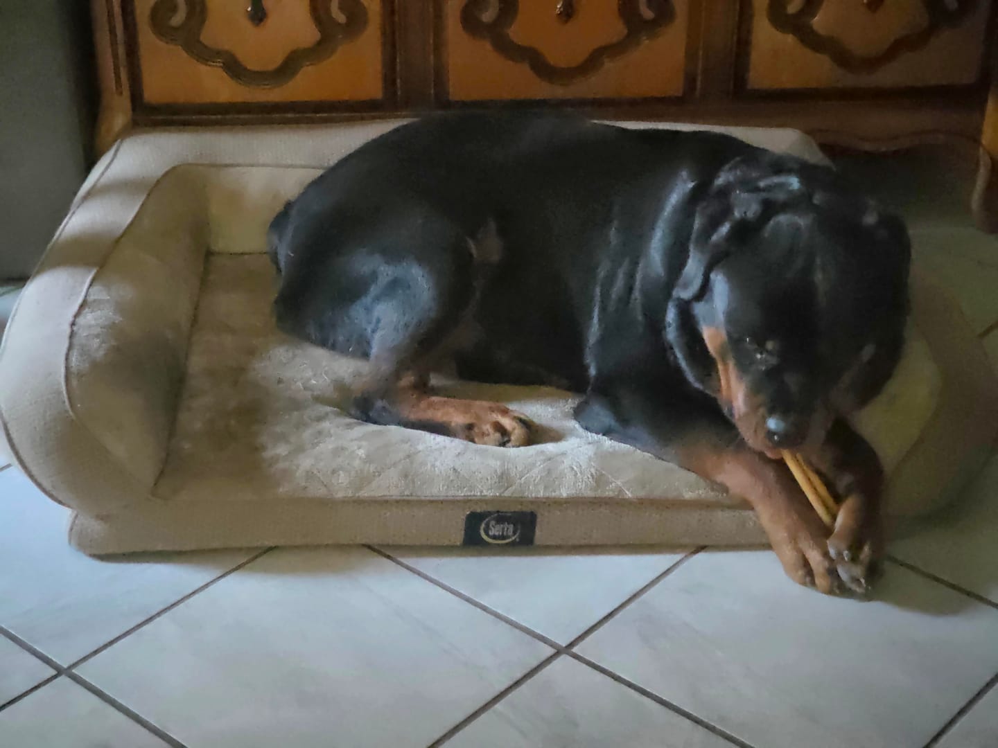 Customer photo review of Super Bull Sticks