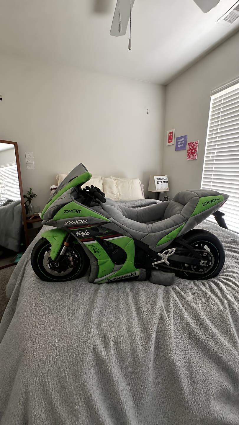 Customer photo review of CozyWhisker™ – Cozy Motorcycle Cat Bed