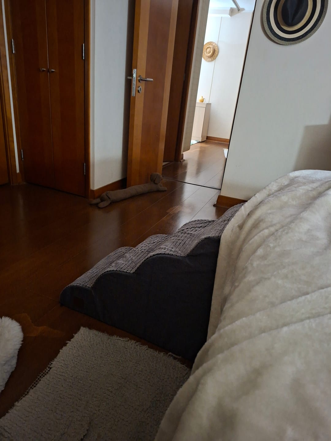 Customer photo review of Rampa Pendiente Suave THE DOGS