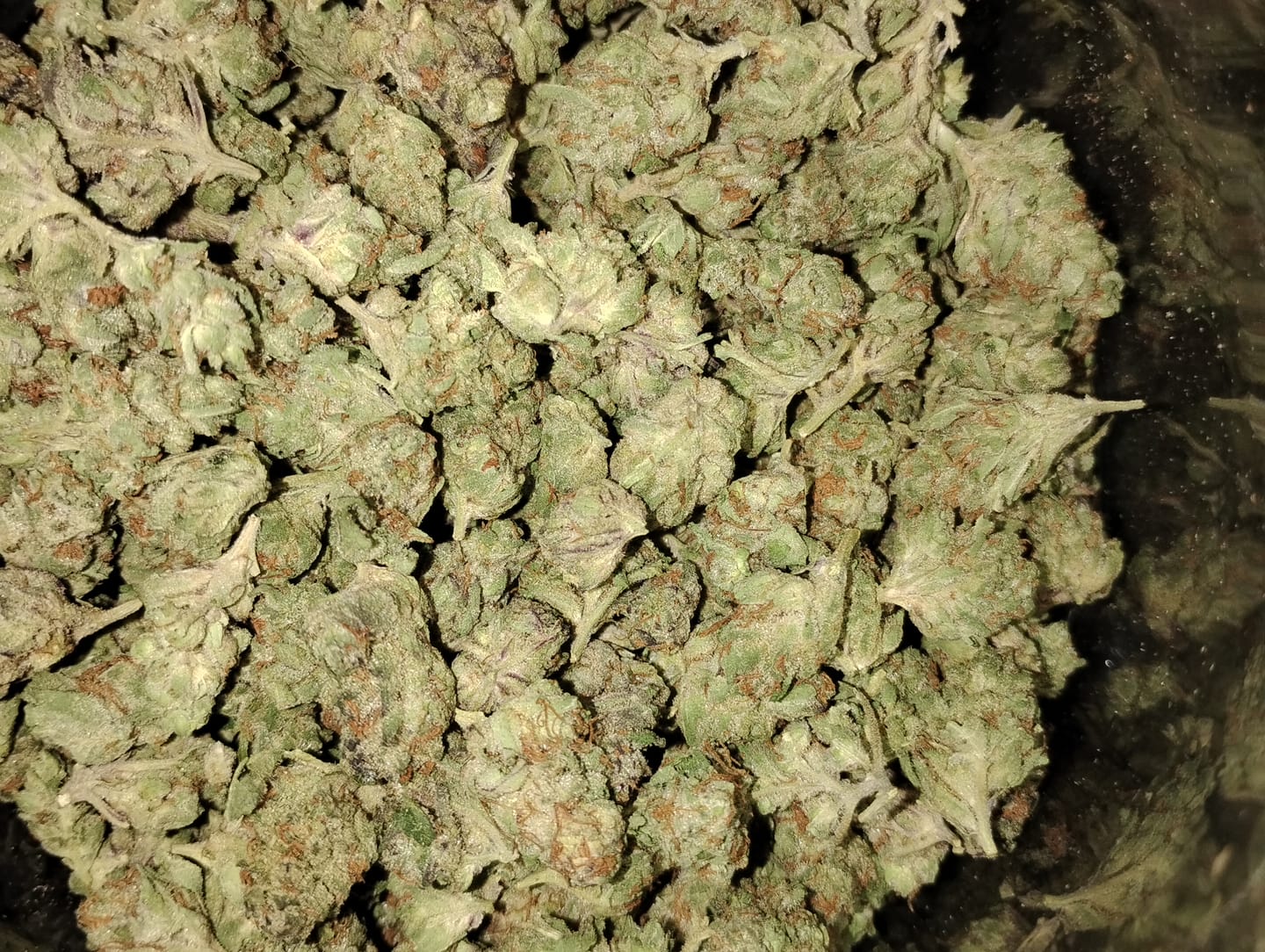 Customer photo review of Light Assist THCA Smalls
