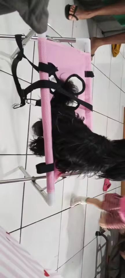Customer photo review of Dog Bath Stand
