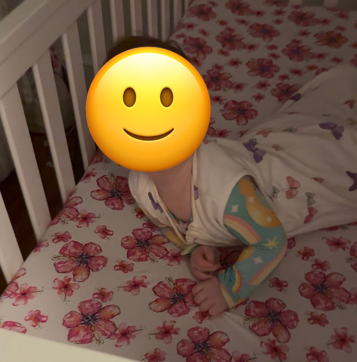 Customer photo review of 4 Season® Classic Baby Sleeping Bag, Merino Wool & Organic Cotton, Butterfly