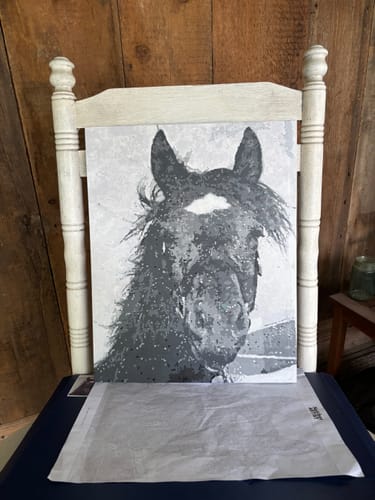Customer's Custom Paint by Numbers Kit showing a black and white portrait of a horse on a canvas resting on a chair.