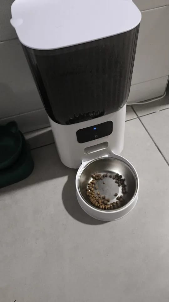 Customer photo review of SmartFeed — 5L WiFi Automatic Cat & Dog Feeder