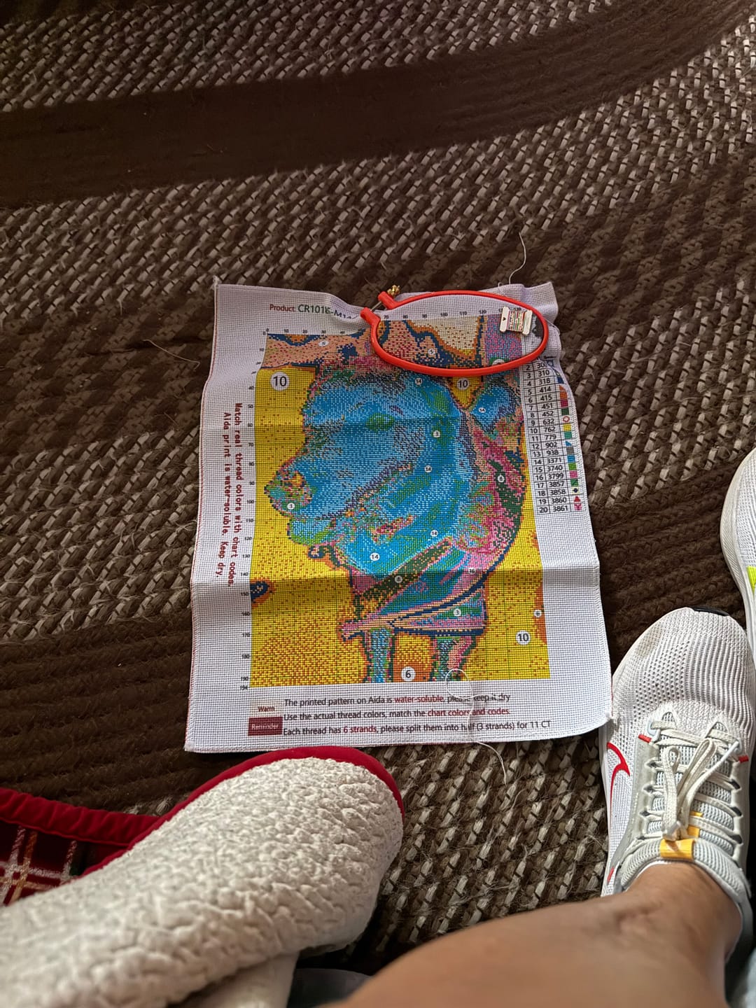 Customer photo review of Custom Cross Stitch Tapestry Kit | Just Upload Your Photo!