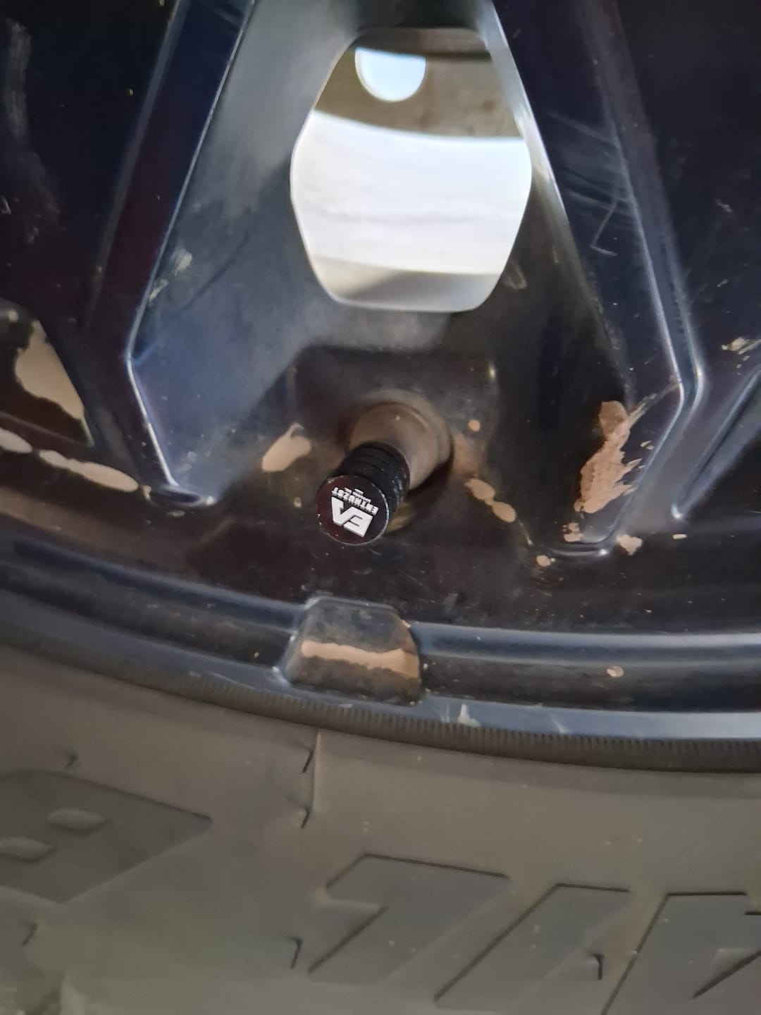 Customer photo review of VALVE STEM CAPS