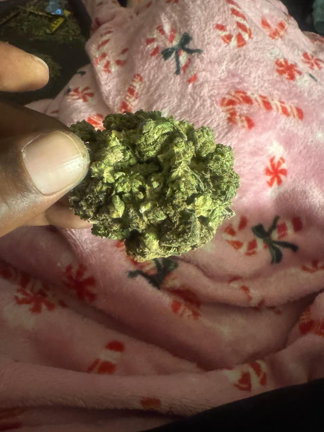 Customer photo review of Ice Cream Cake Minis - Bulk Minis - Indica