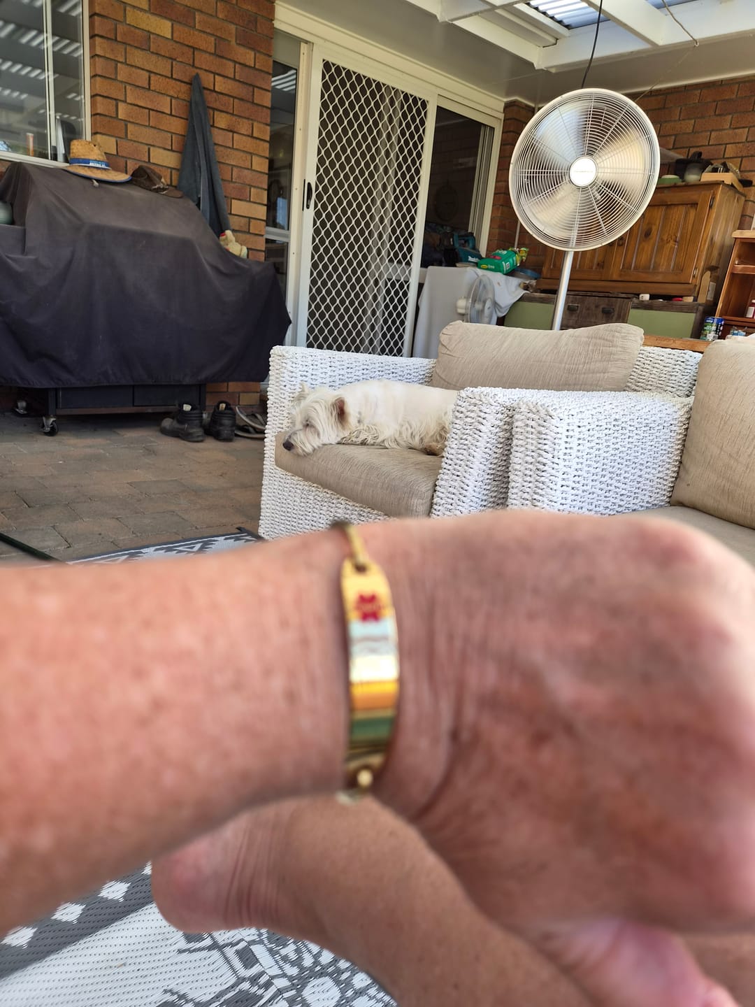 Customer photo review of Personalised Gold Medical Alert ID Bangle Bracelet