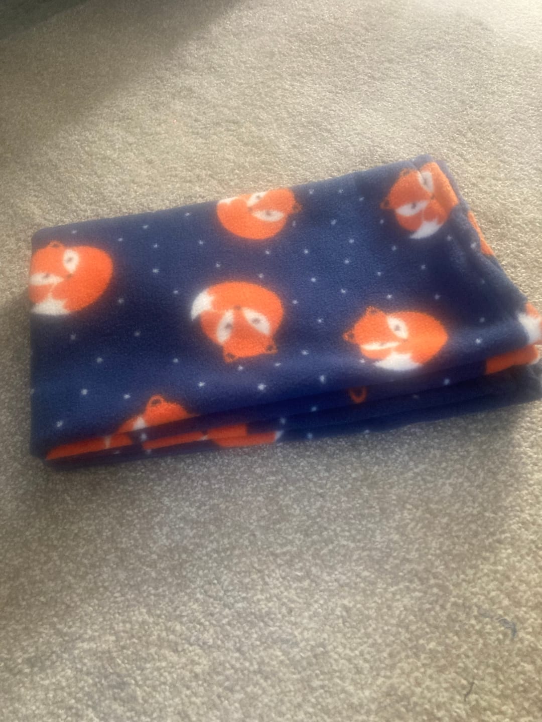 Customer photo review of Sleeping Foxes Anti Pill Polar Fleece Fabric