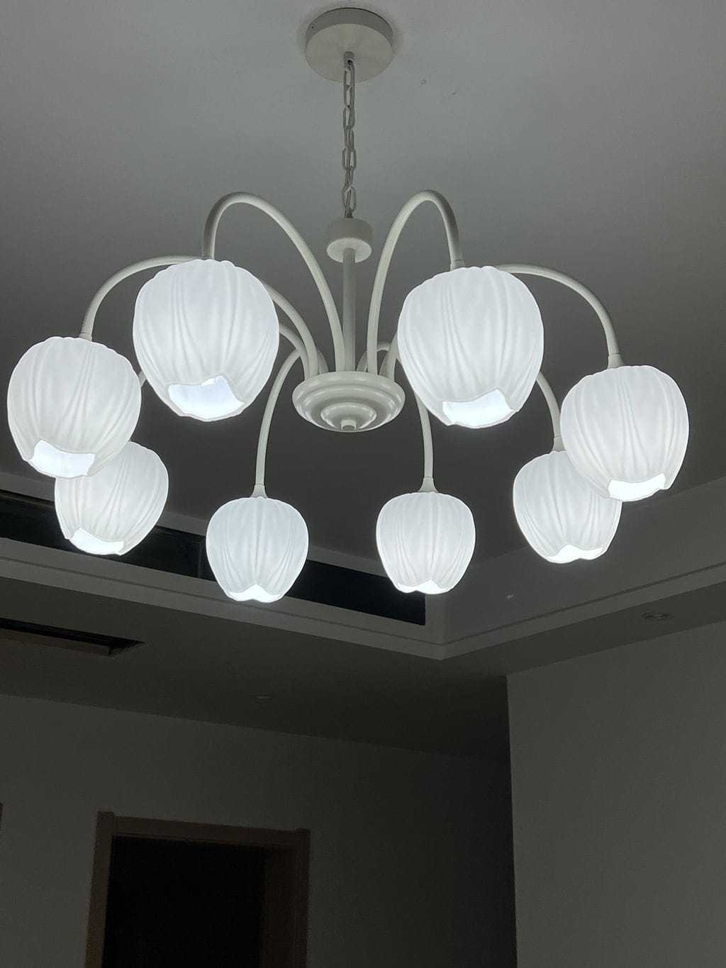 Customer photo review of Tulip Chandelier, White Glass Tulip Shades, Matcha Green Frame, E26