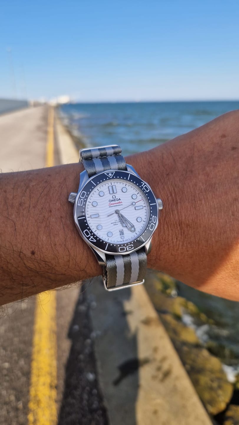 Customer photo review of AlphaPremier - Silver Fox
