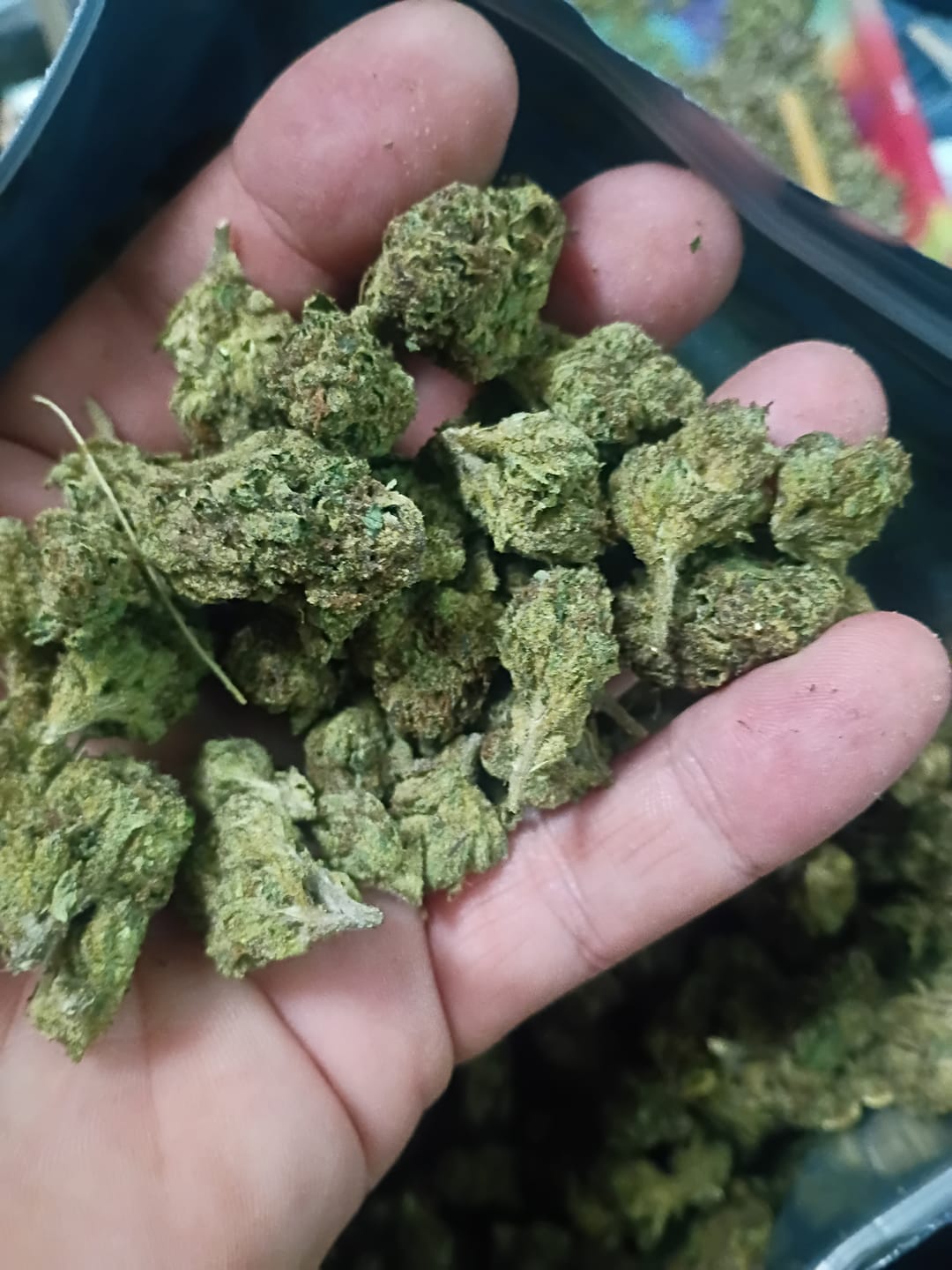 Customer photo review of Bulk Indoor THCA Smalls