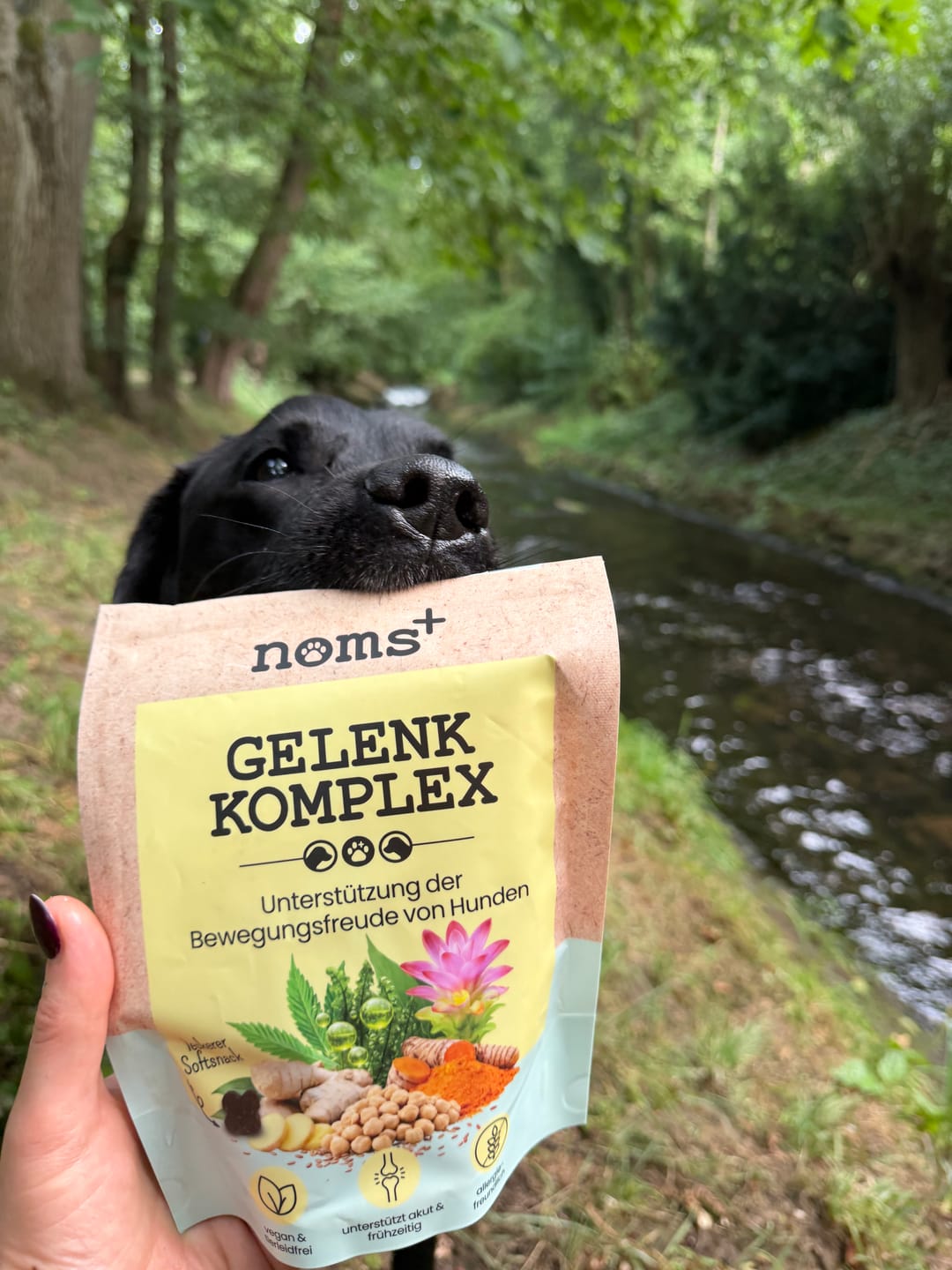 Customer photo review of Gelenk-Komplex für Hunde