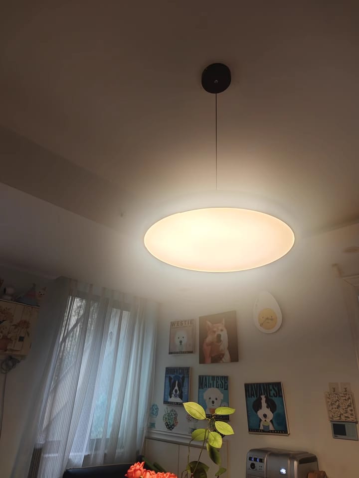 Customer photo review of Lola Pendant Light, Round Disc, White Shade, Integrated LED, Dimmable