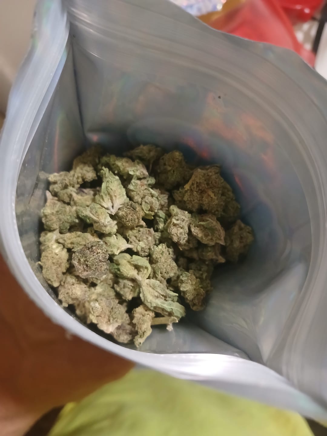 Customer photo review of Gelato Mintz - Minis - 28 Grams - Hybrid