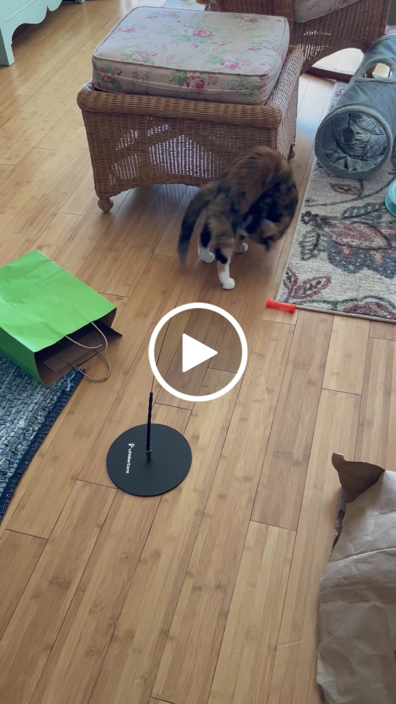 Customer video review of Weighted Plate (Interactive Bird Simulation Cat Toy)