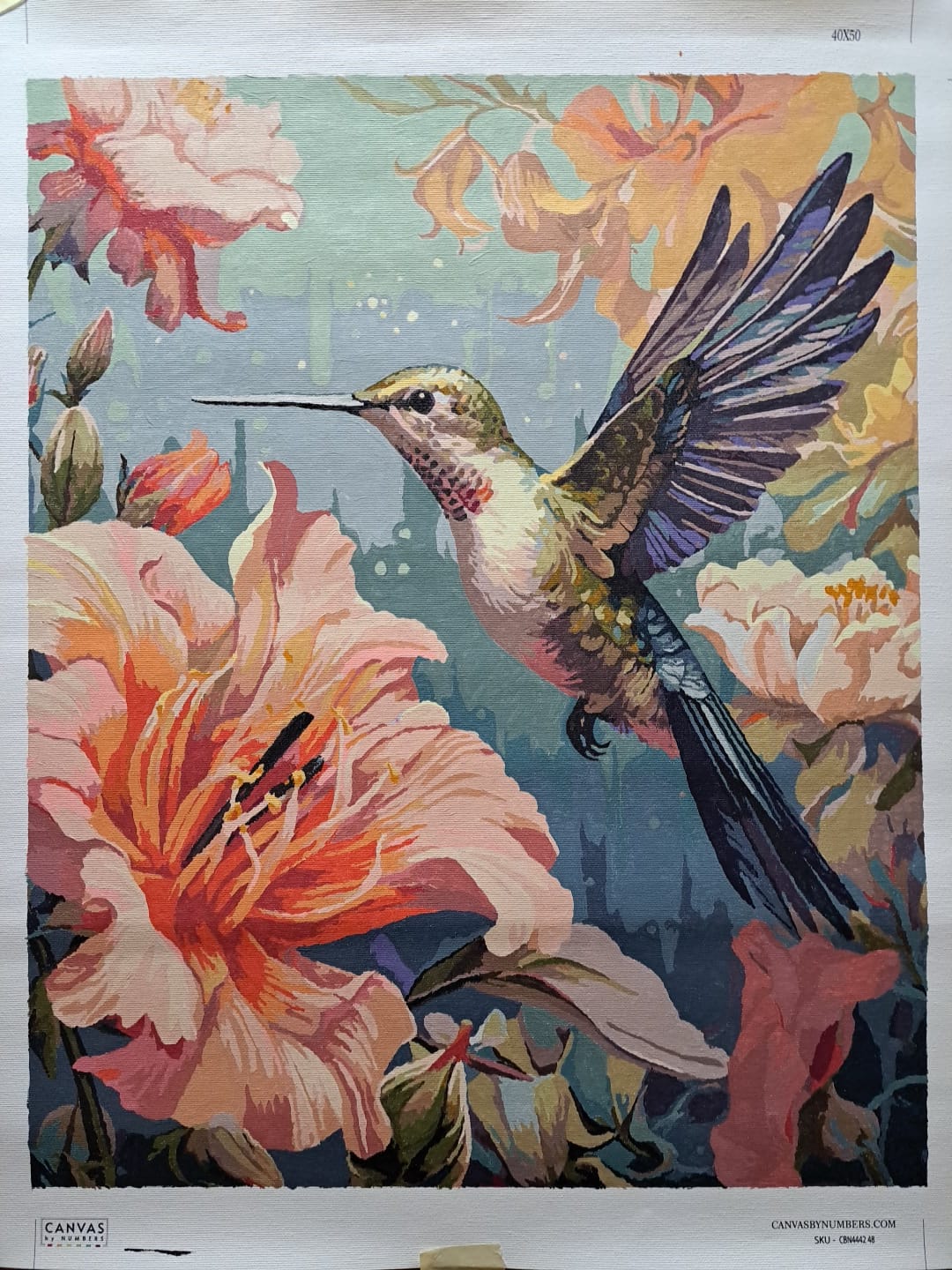Customer photo review of Hummingbird Garden