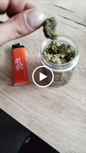 Customer video review of CALI MIX AAA+ – Premium Selection