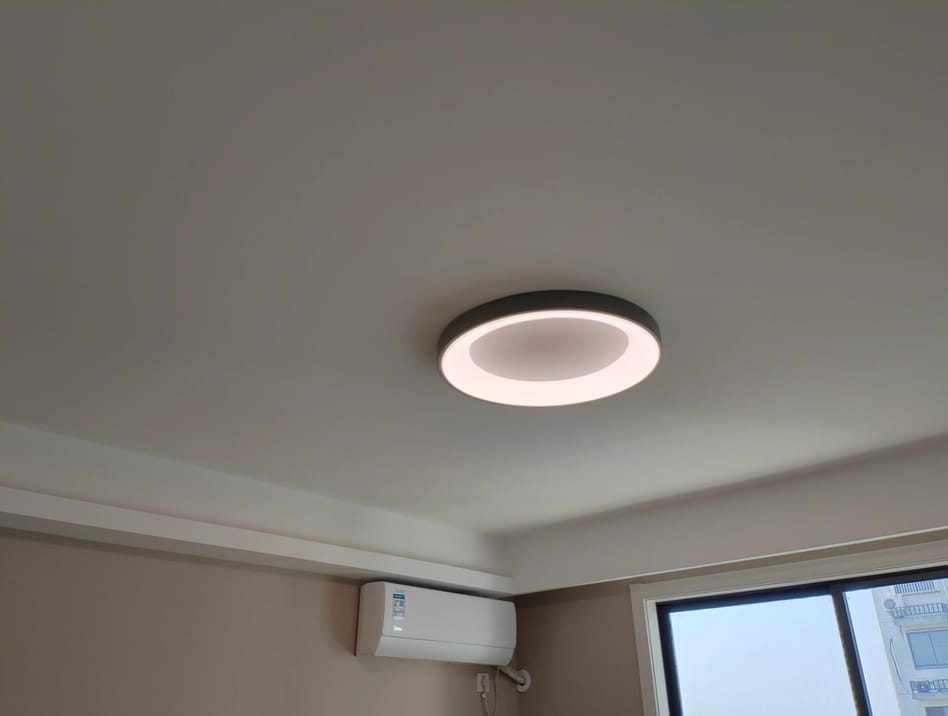 Customer photo review of Flush Mount Ceiling Light, Keno Slim Iron, Integrated LED, Dimmable