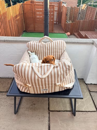 Customer's Canvas Car Seat in hazelnut stripe with a small puppy inside, sitting on a table outdoors.