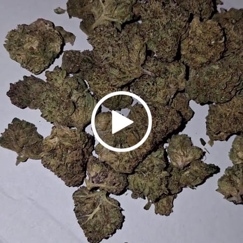 Customer video review of THC-A Flower California Love