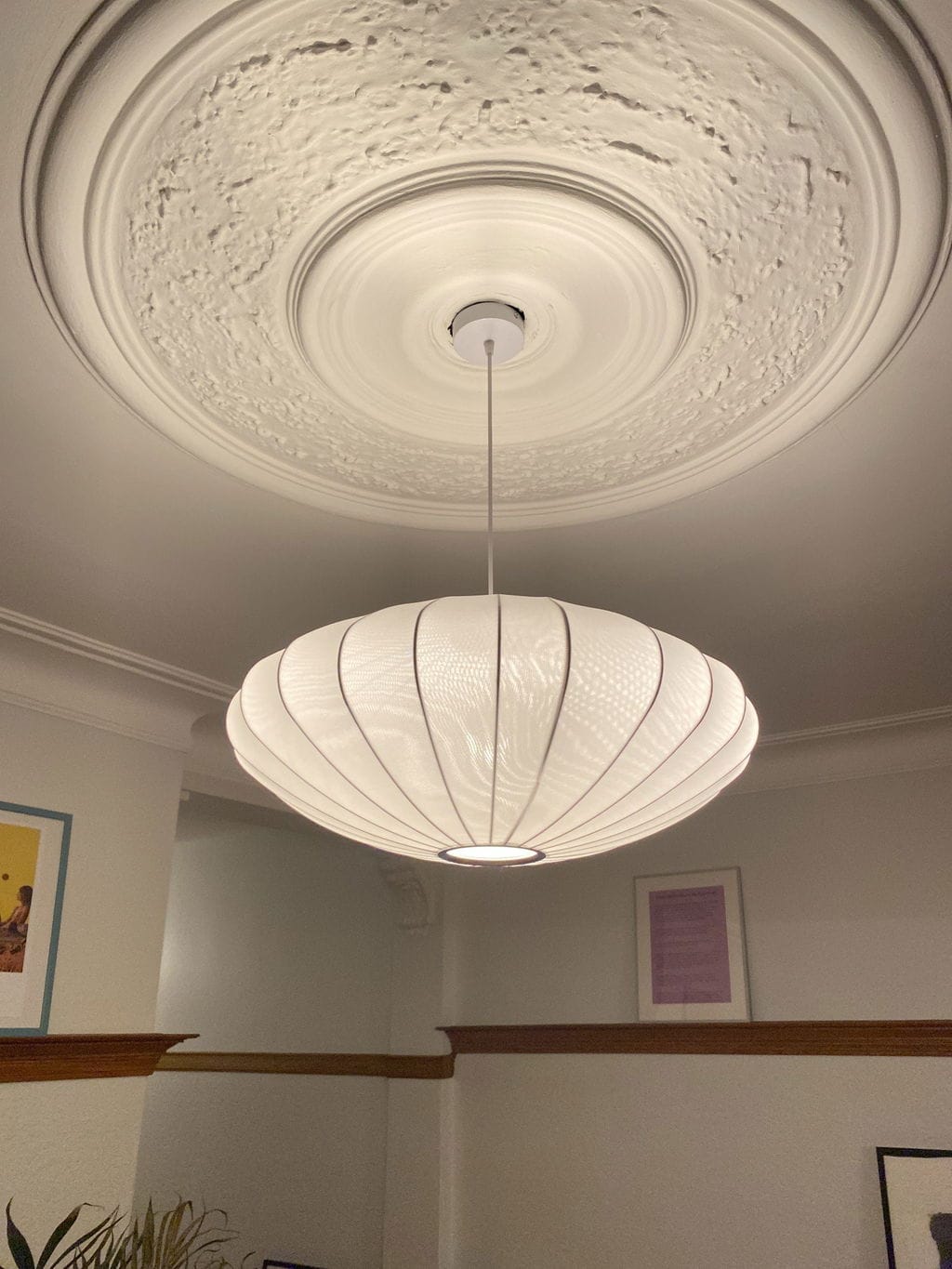Customer photo review of Pendant Light, Crisscross Bubble, Mulberry Silk, Steel Wireframe, E26